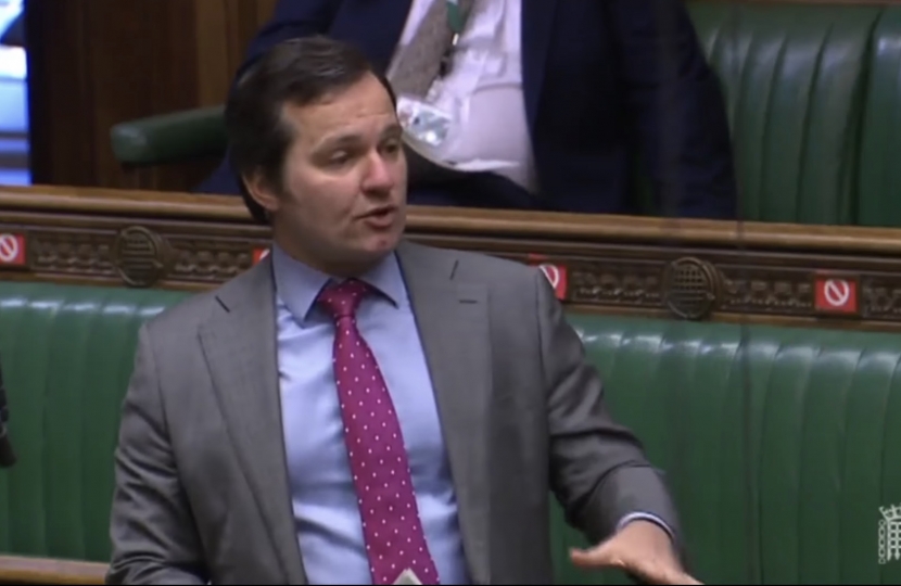 Chris Green MP - Speaking in Parliament